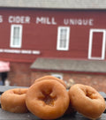 Orchard Wax Melt | Apple Cider Donut Bakery Scent